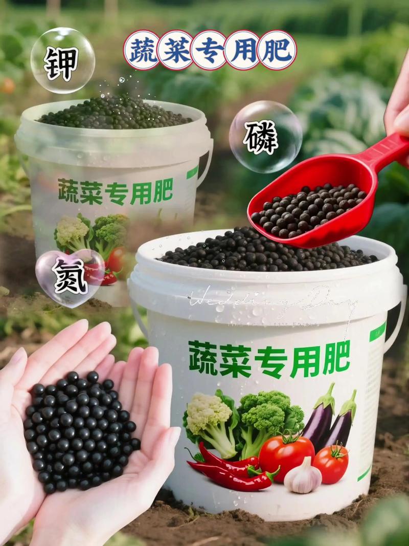 亳州化肥行业动态：市场趋势与前景展望