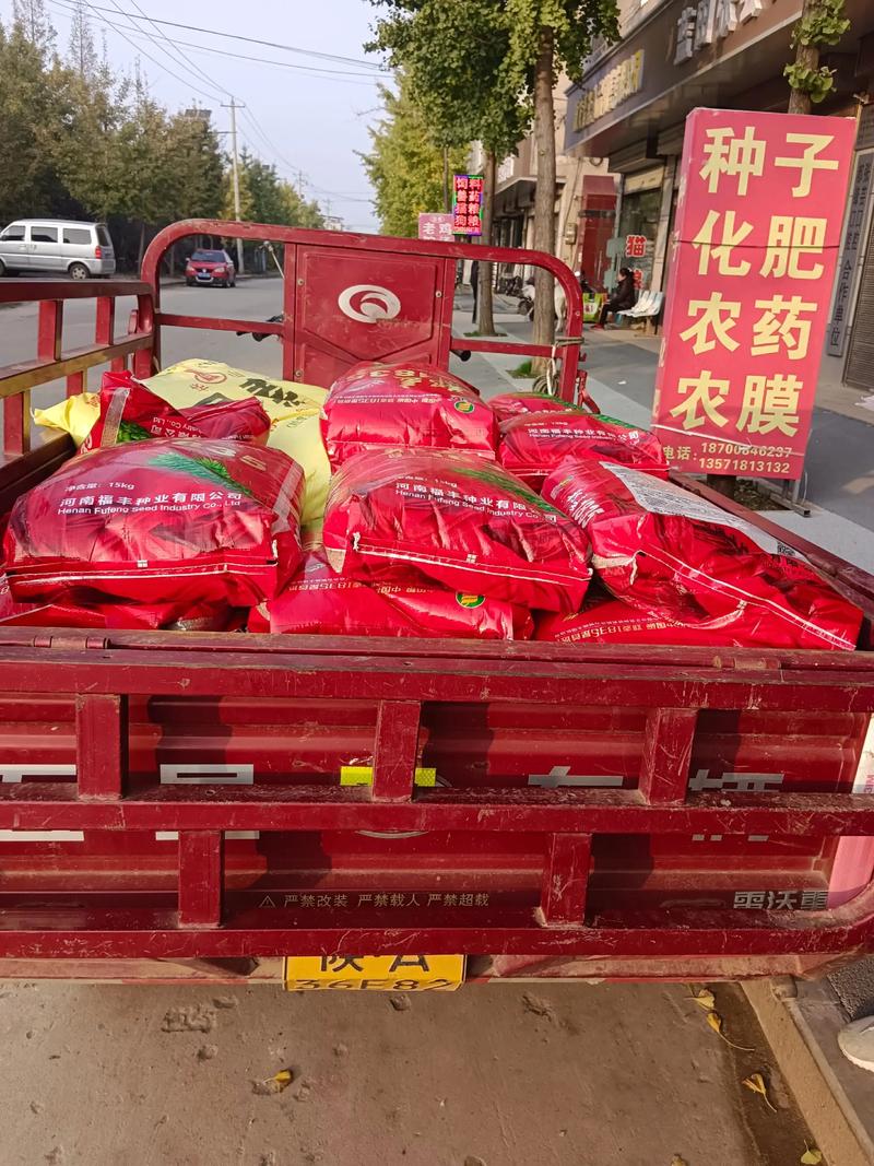 亳州化肥市场动态：迎接农业丰收新希望